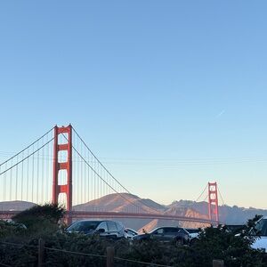 Meet your Posher, Maddy